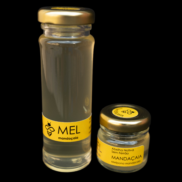 Frascos de mel de abelha mandaçaia