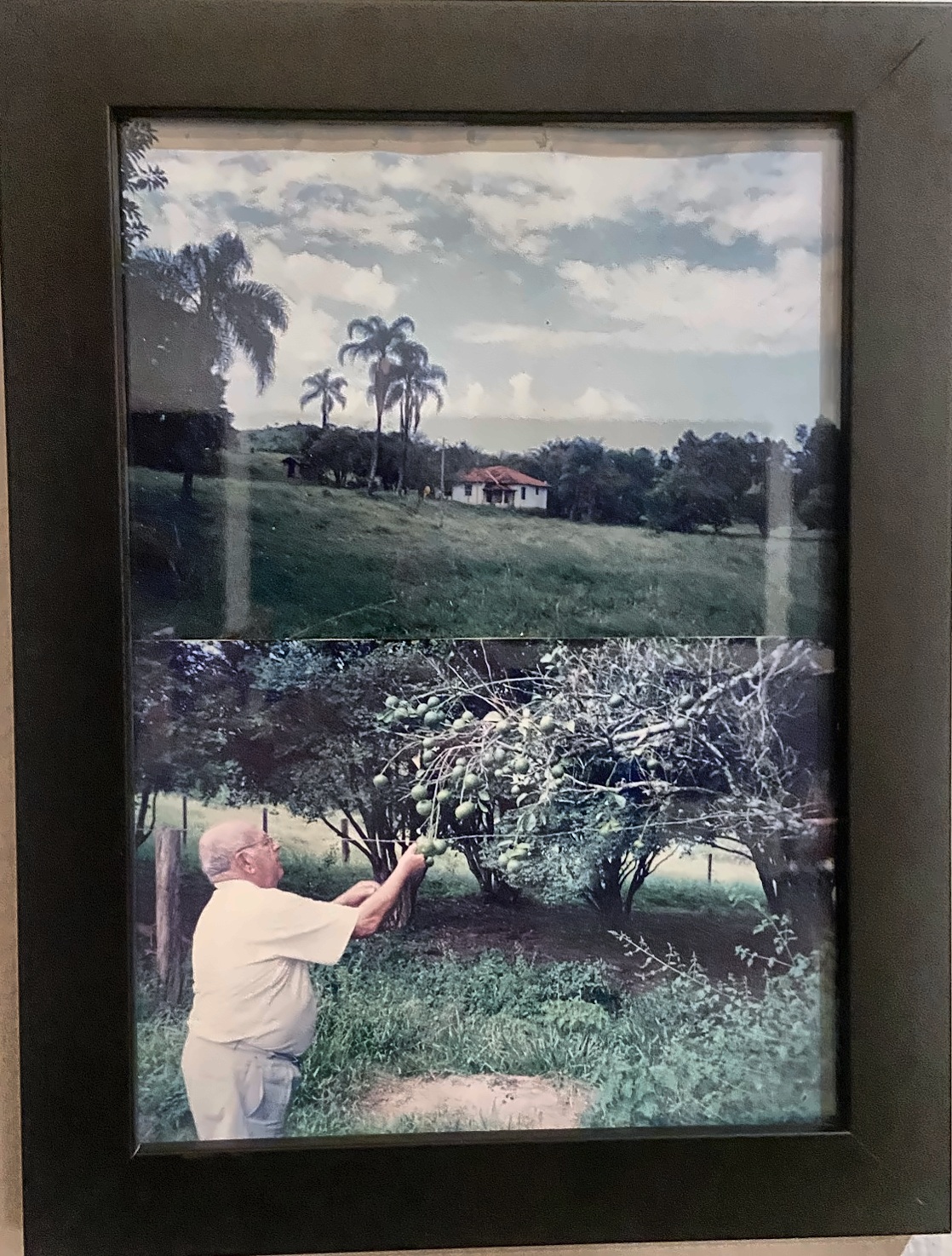 Dinho revisita a casa de infância nos anos 2000
