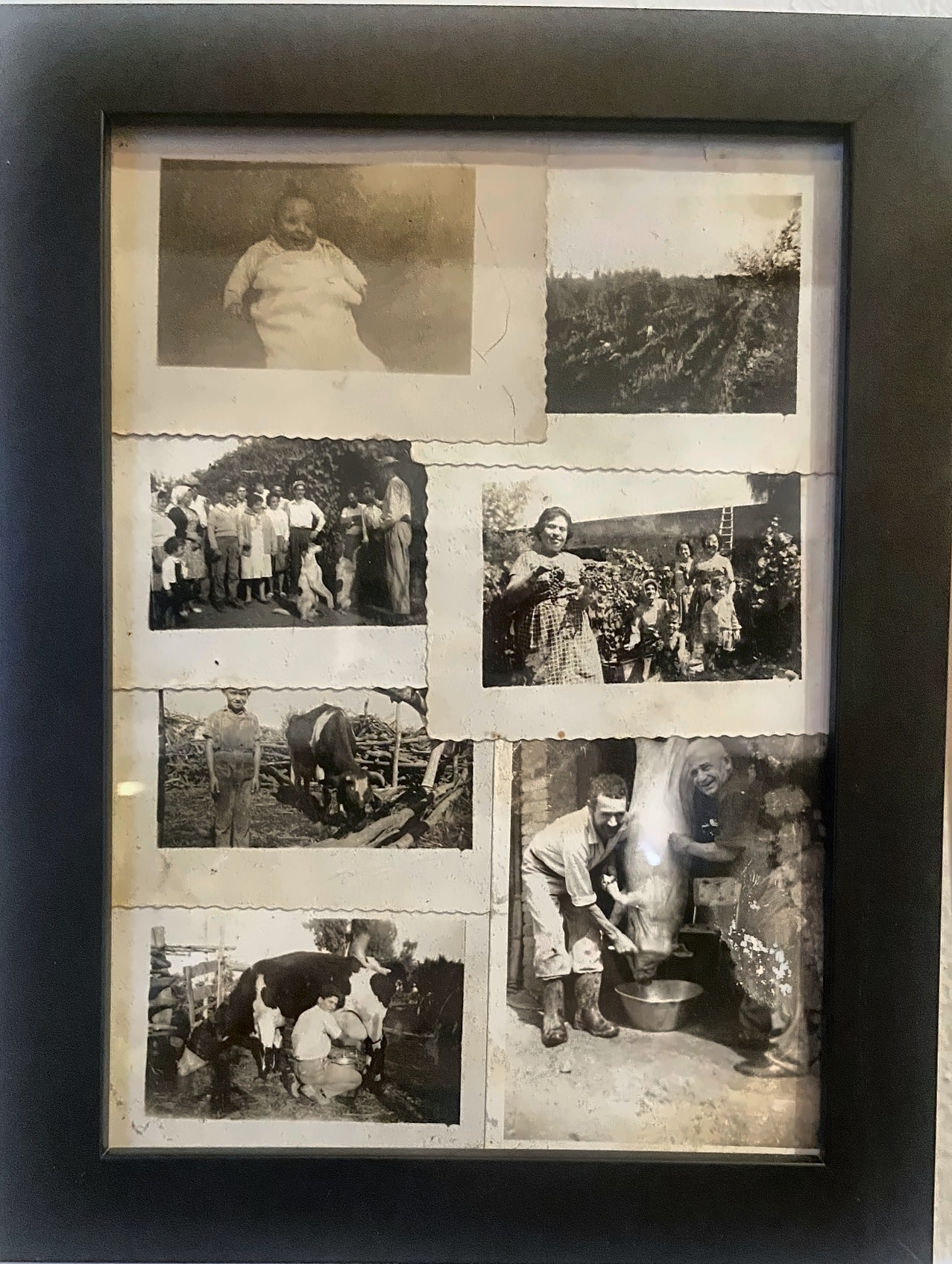Fotografias da infância de Dinho no interior paulista, anos 1920