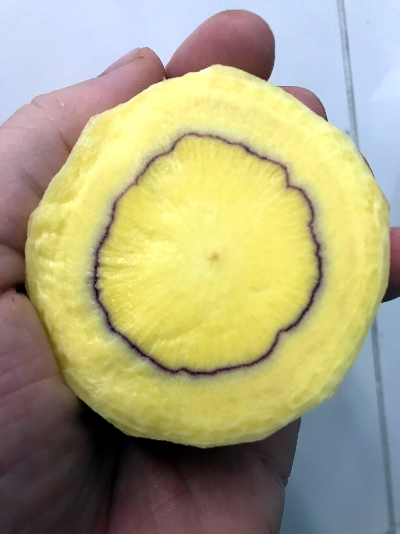 Corte de cenoura de coloração amarela e roxa