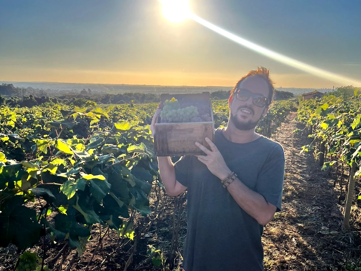 Caixas de frutas diante de uma paisagem rural