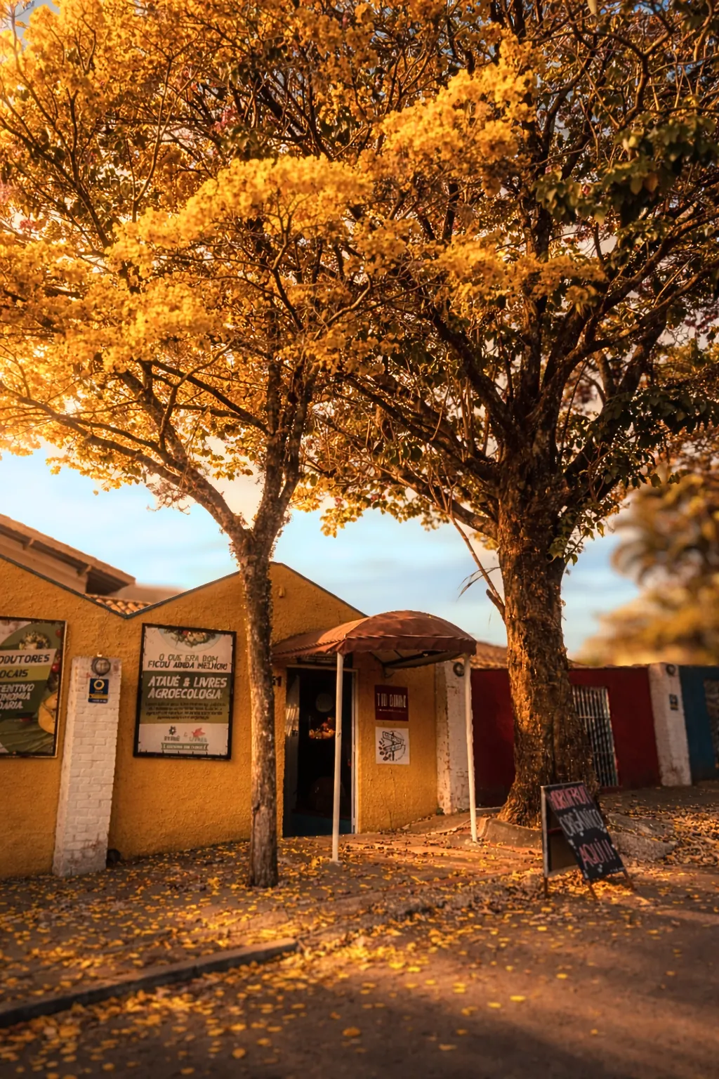 Fachada do Tio Dinho em Sousas