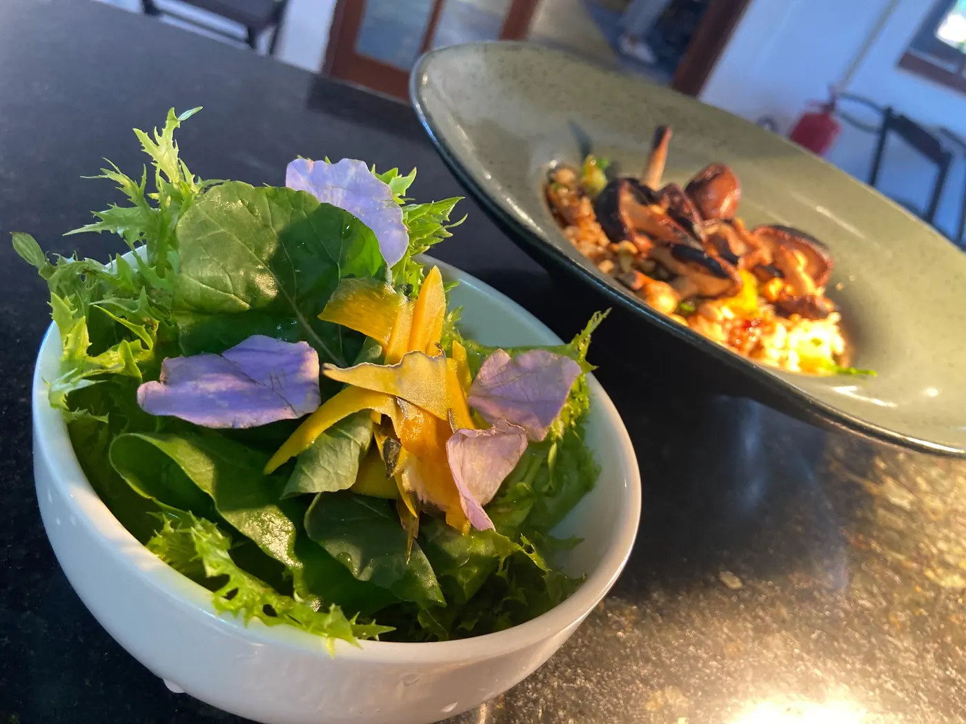 Folhas, legumes e colheita do dia
